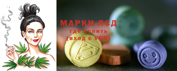 дживик Бородино