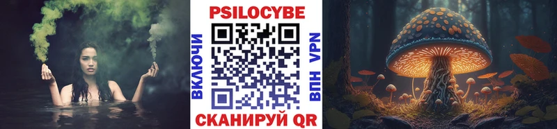 Галлюциногенные грибы Psilocybe  где найти наркотики  Динская 